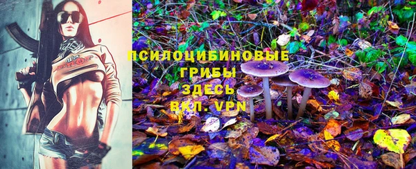 ГАЛЛЮЦИНОГЕННЫЕ ГРИБЫ Беломорск